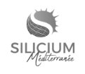 logo silicium méditerranée